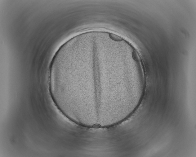 X0000110941526200907101237