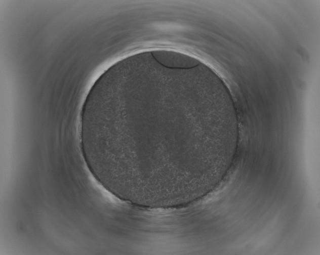 X0000110941527200907101237