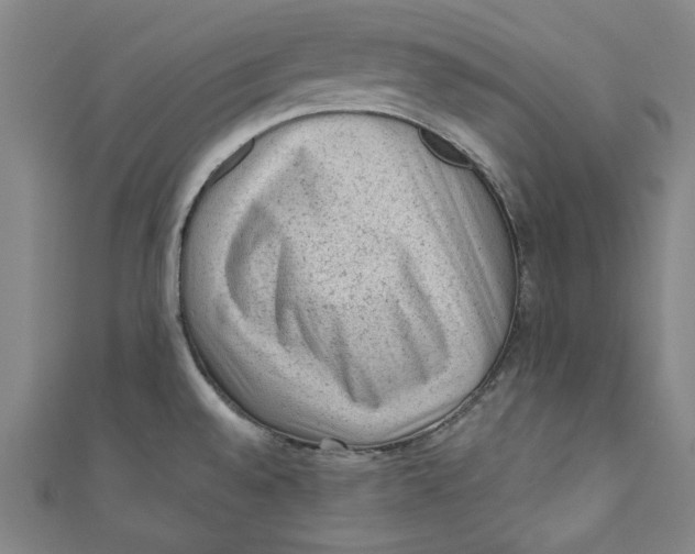 X0000110941528200907101237