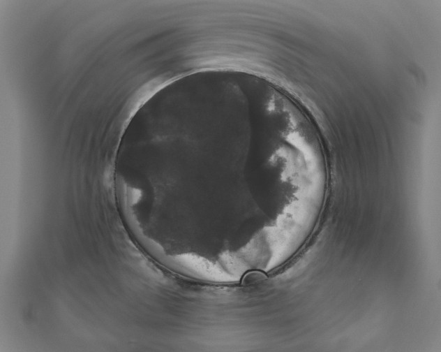 X0000110941529200907101237