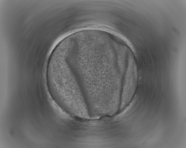 X0000110941530200907101237