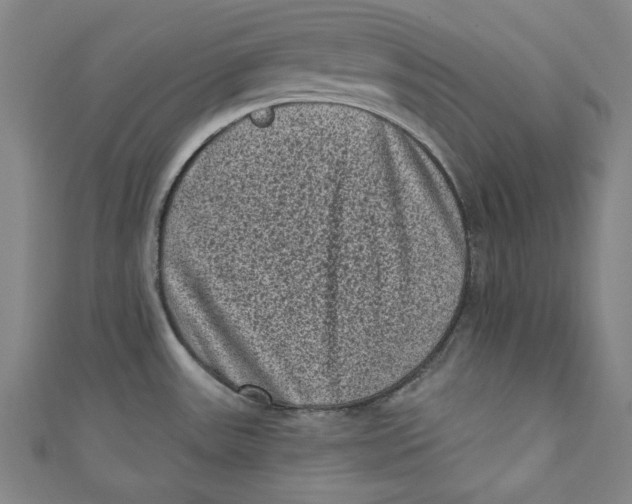 X0000110941531200907101237