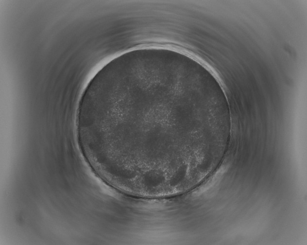 X0000110941533200907101237