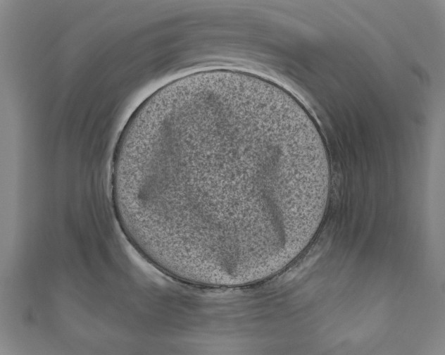 X0000110941535200907101237