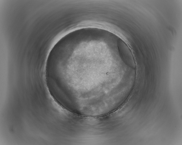 X0000110941536200907101237