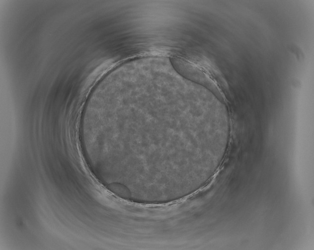 X0000110940001200907171617