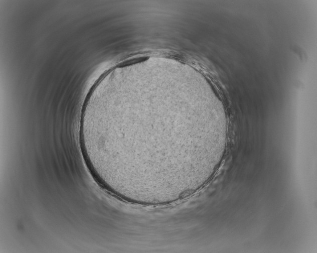 X0000110940003200907171617