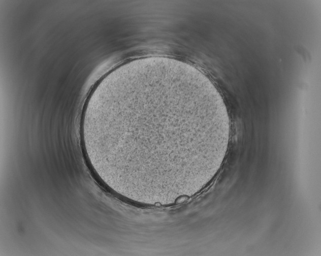 X0000110940004200907171617