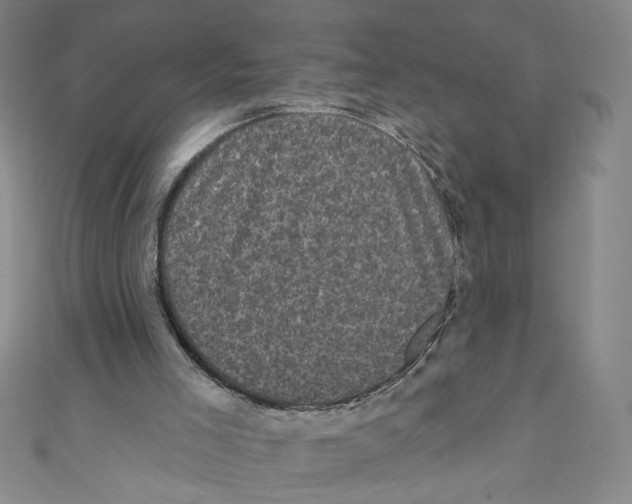 X0000110940005200907171617