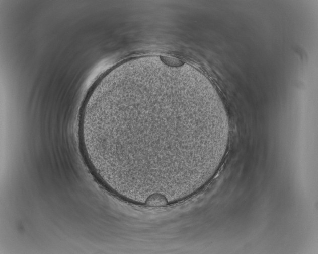 X0000110940006200907171617