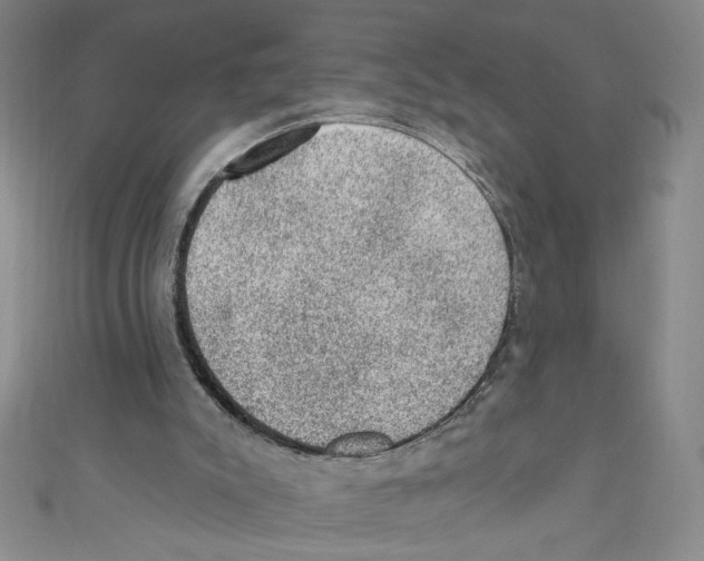 X0000110940007200907171617