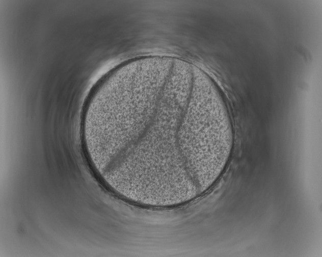 X0000110940008200907171617
