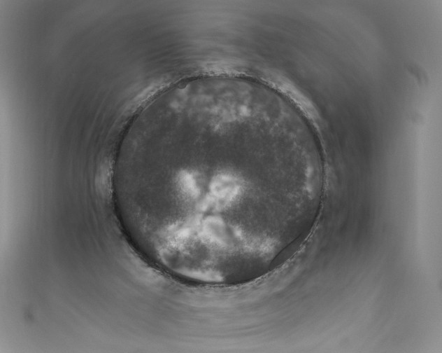 X0000110940009200907171617