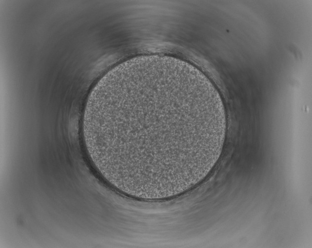 X0000110940010200907171617