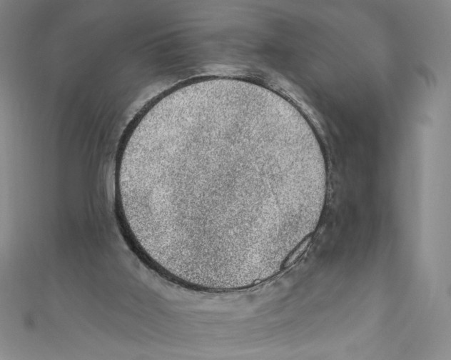 X0000110940011200907171617