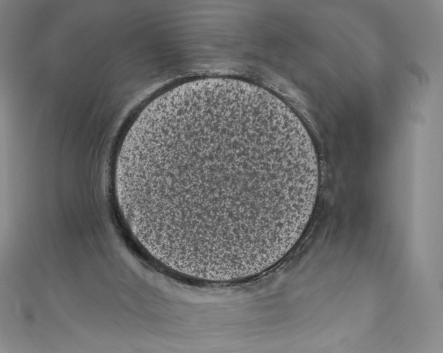 X0000110940012200907171617