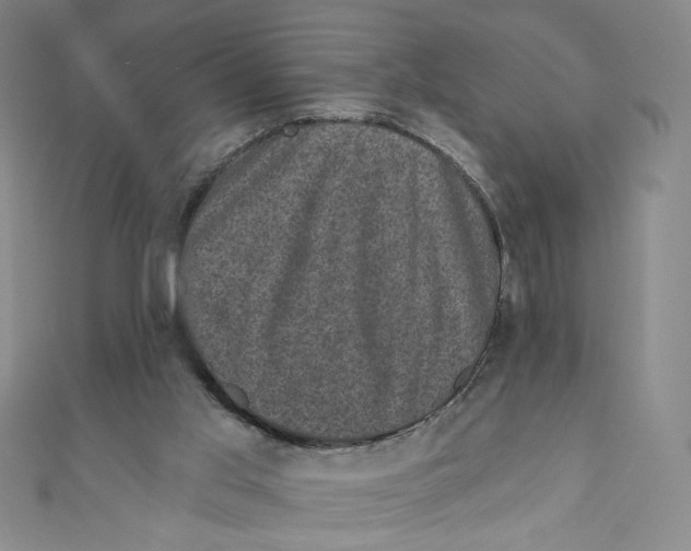 X0000110940013200907171617