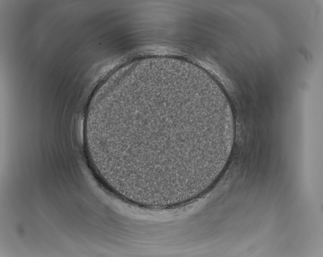 X0000110940014200907171617