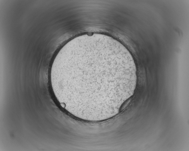 X0000110940015200907171617