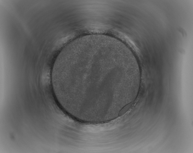 X0000110940017200907171617