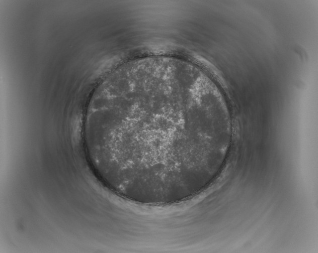 X0000110940018200907171617