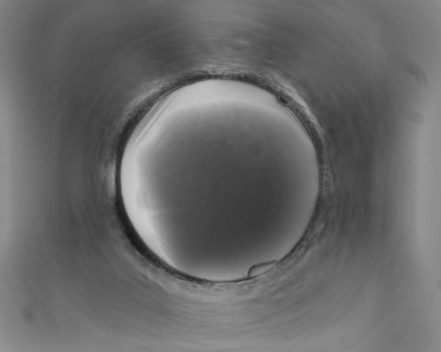 X0000110940019200907171617