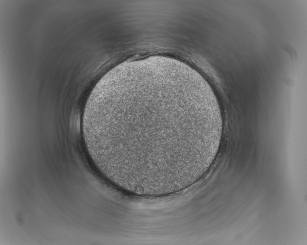 X0000110940021200907171617