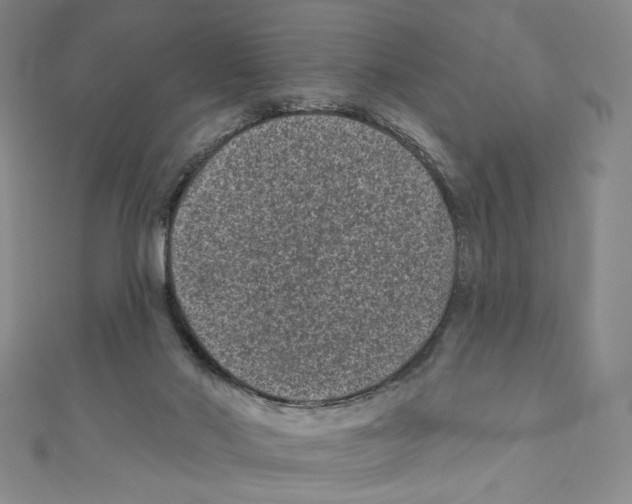 X0000110940022200907171617