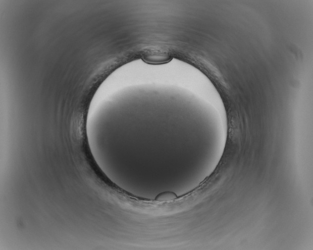 X0000110940023200907171617