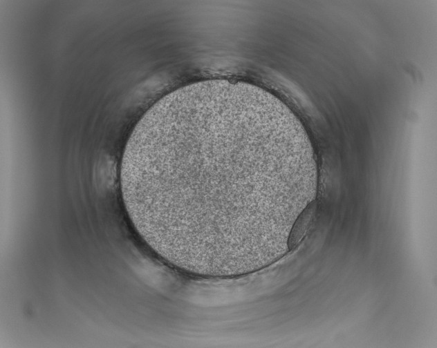 X0000110940025200907171617