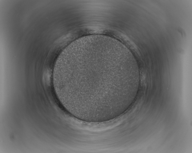X0000110940026200907171617