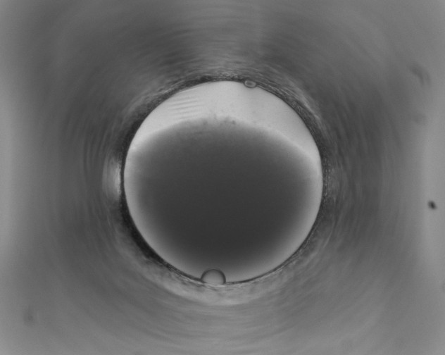 X0000110940027200907171617