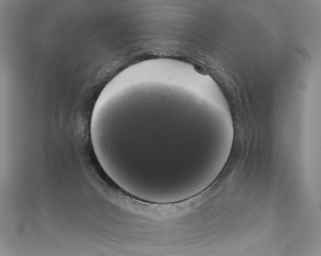 X0000110940031200907171617