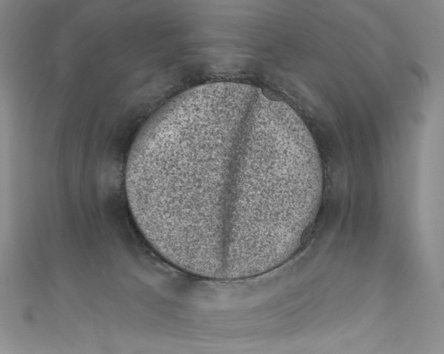 X0000110940033200907171617