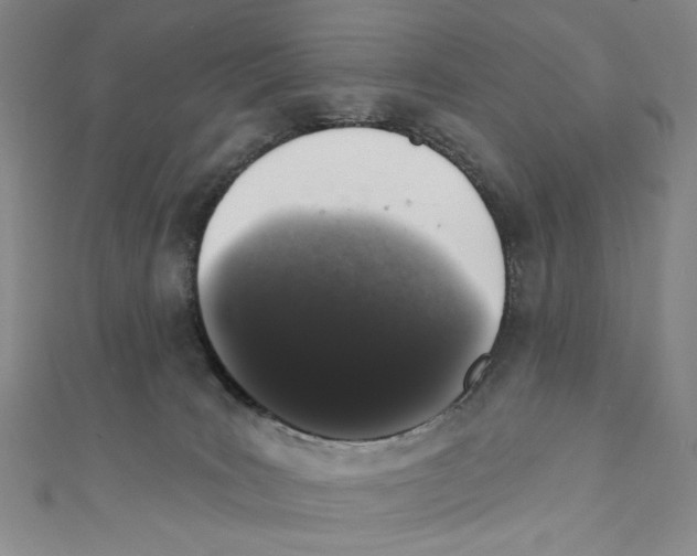 X0000110940035200907171617