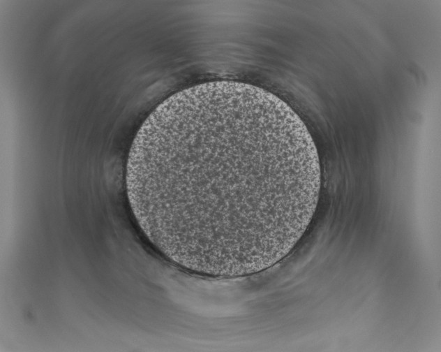X0000110940036200907171617