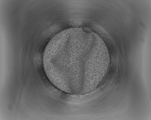 X0000110940037200907171617