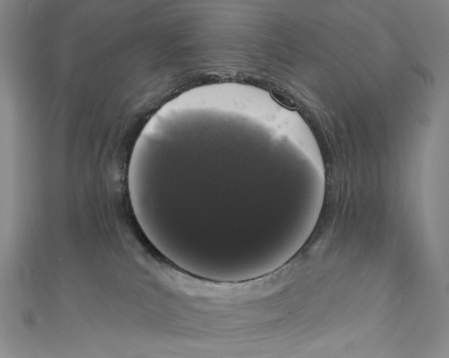 X0000110940039200907171617