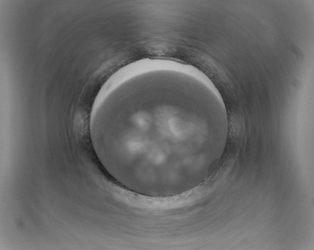 X0000110940043200907171617