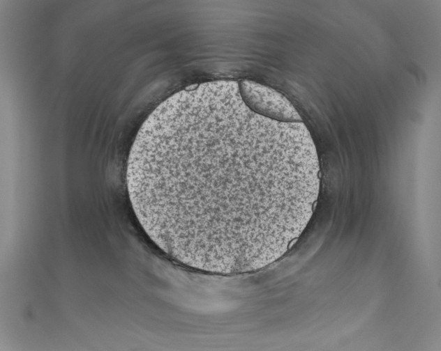 X0000110940044200907171617