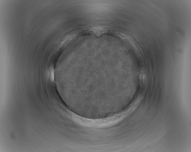 X0000110940046200907171617