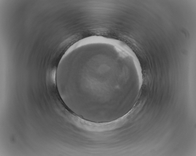 X0000110940047200907171617