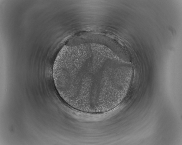 X0000110940048200907171617