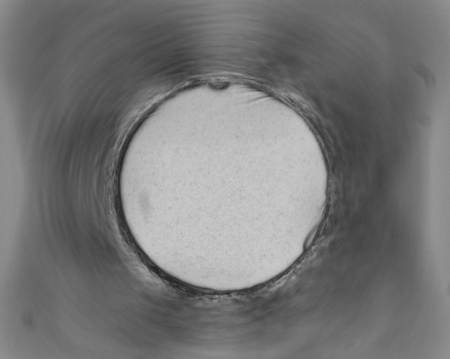 X0000110940049200907171616
