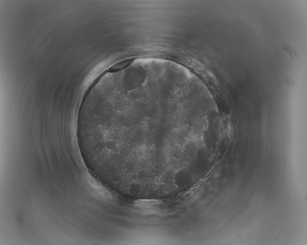 X0000110940051200907171616