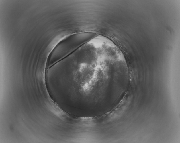 X0000110940052200907171616
