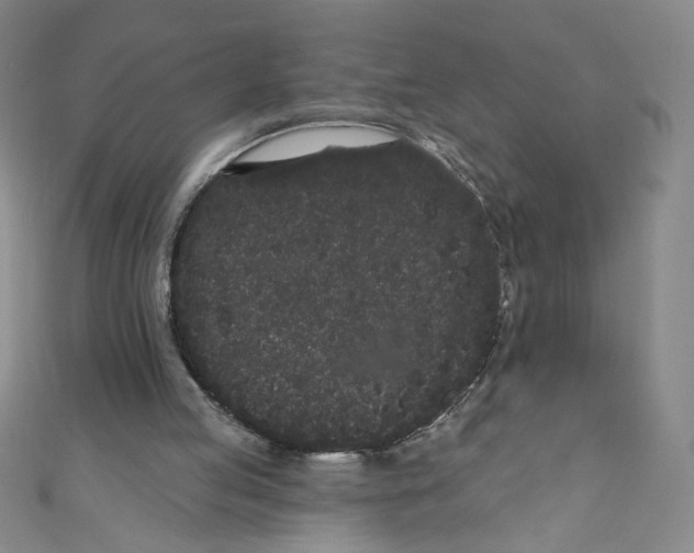 X0000110940053200907171616