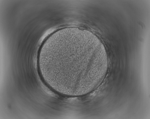 X0000110940054200907171616