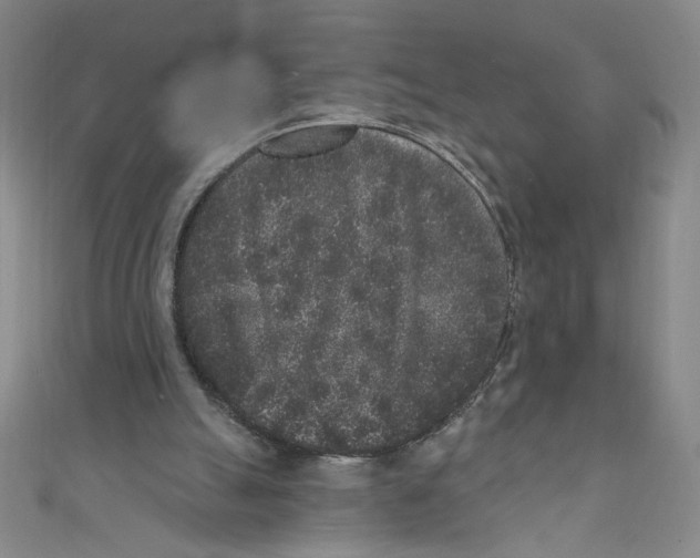 X0000110940055200907171616