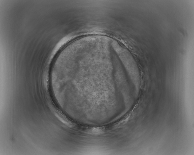 X0000110940056200907171616